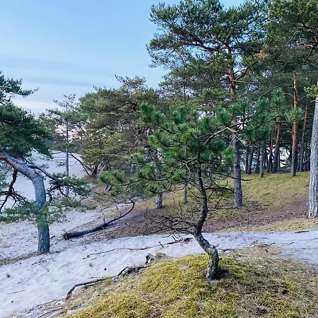 Siedlisko Wytowno Hébergement de vacances Ustka