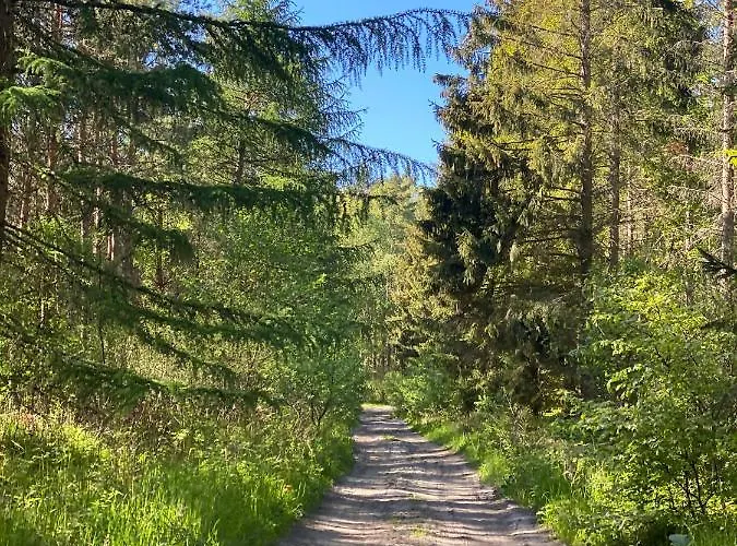 Siedlisko Wytowno 度假居 乌斯特卡