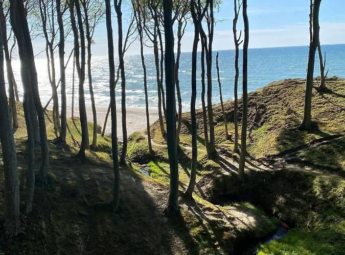 Siedlisko Wytowno * 乌斯特卡