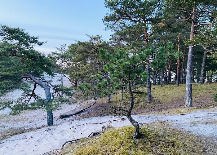 Siedlisko Wytowno 度假居 乌斯特卡