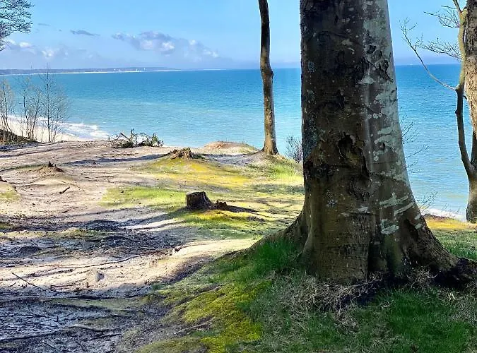 Siedlisko Wytowno 度假居 *