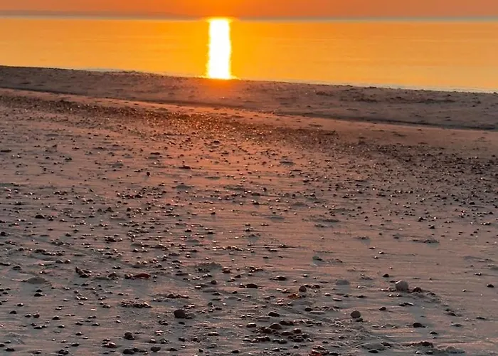 Siedlisko Wytowno 度假居